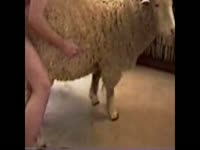 Gay beastiality stories fucking a got